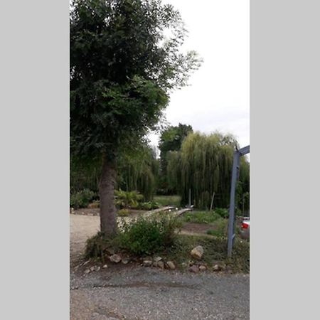 Apartament Entre Vignes Et Loire Blaison-Saint-Sulpice Zewnętrze zdjęcie