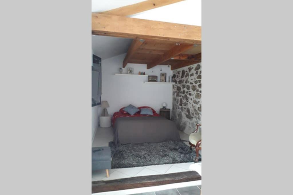 Apartament Entre Vignes Et Loire Blaison-Saint-Sulpice Zewnętrze zdjęcie