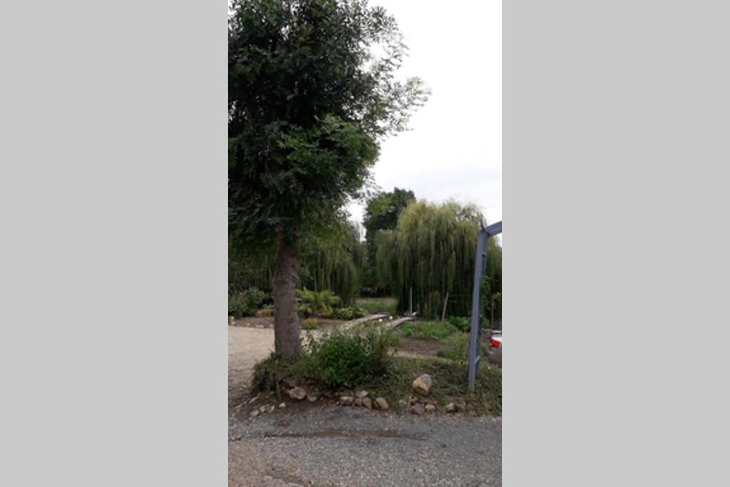 Apartament Entre Vignes Et Loire Blaison-Saint-Sulpice Zewnętrze zdjęcie